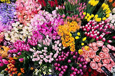 尽管批评不断 但《羊蹄山之魂》仍有很高的热度